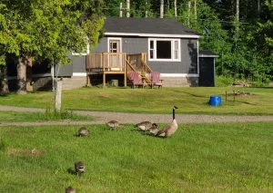 lauzon-east-profile-photo