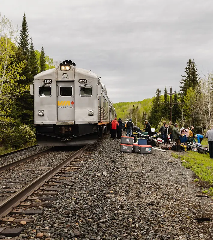 train-in-fishing-feature