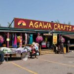 Agawa Crafts & the Canadian Carver