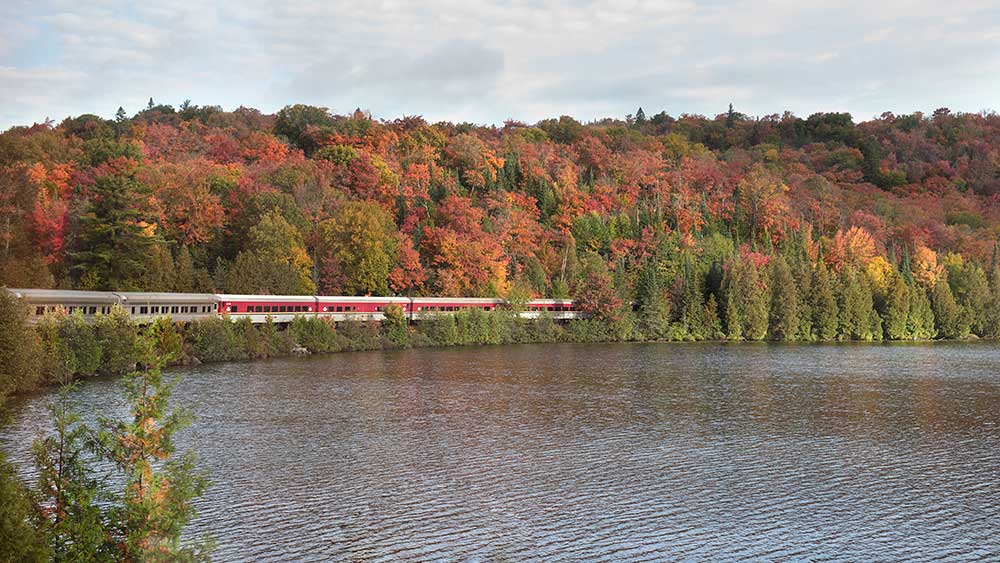 agawa canyon tour train