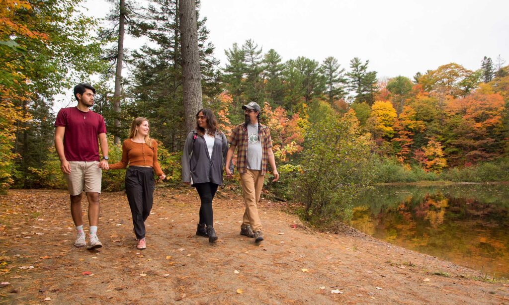 Walk Among The Trees