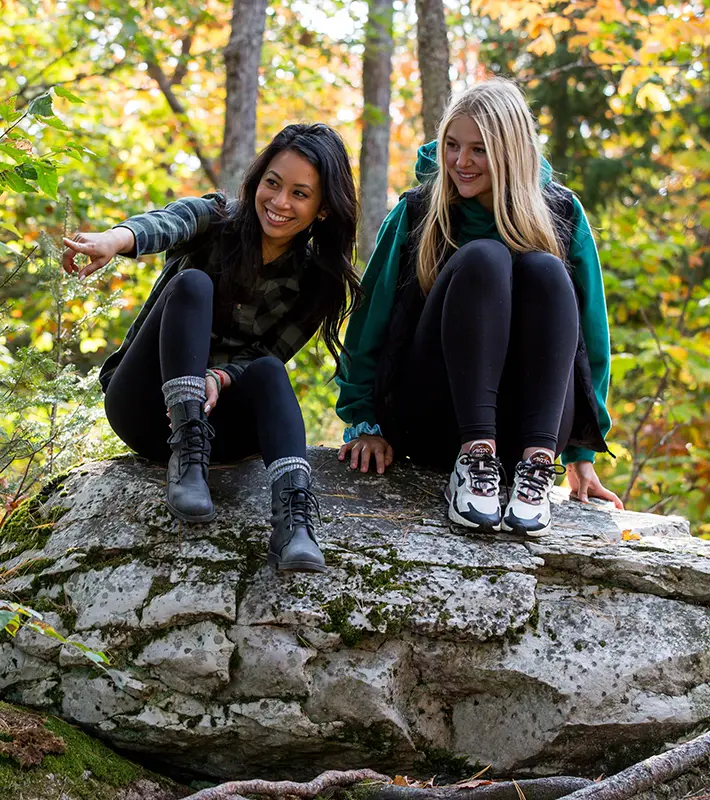 all-stories-articles-img