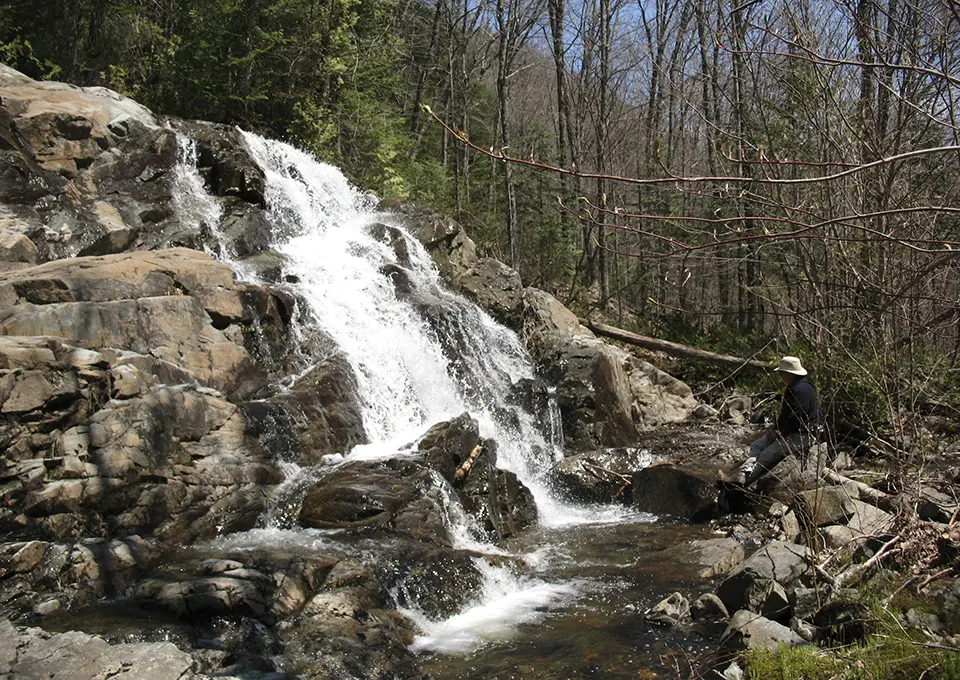 blaq-bear-eco-adventures-profile