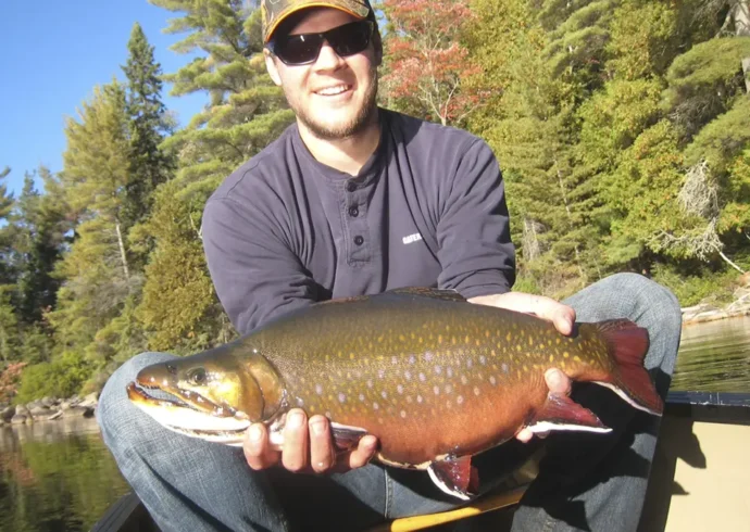 blue-fox-camp-profile