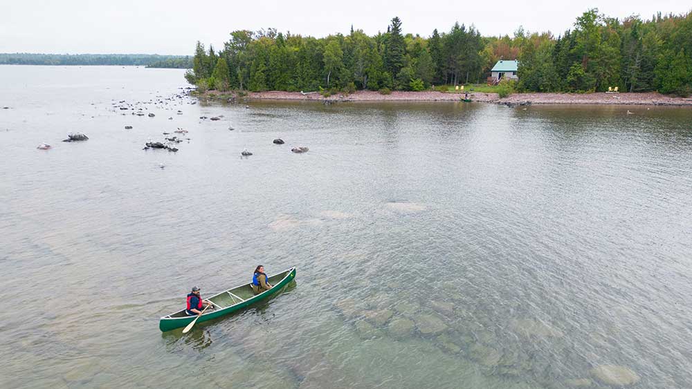 forest the canoe paddling lake superior