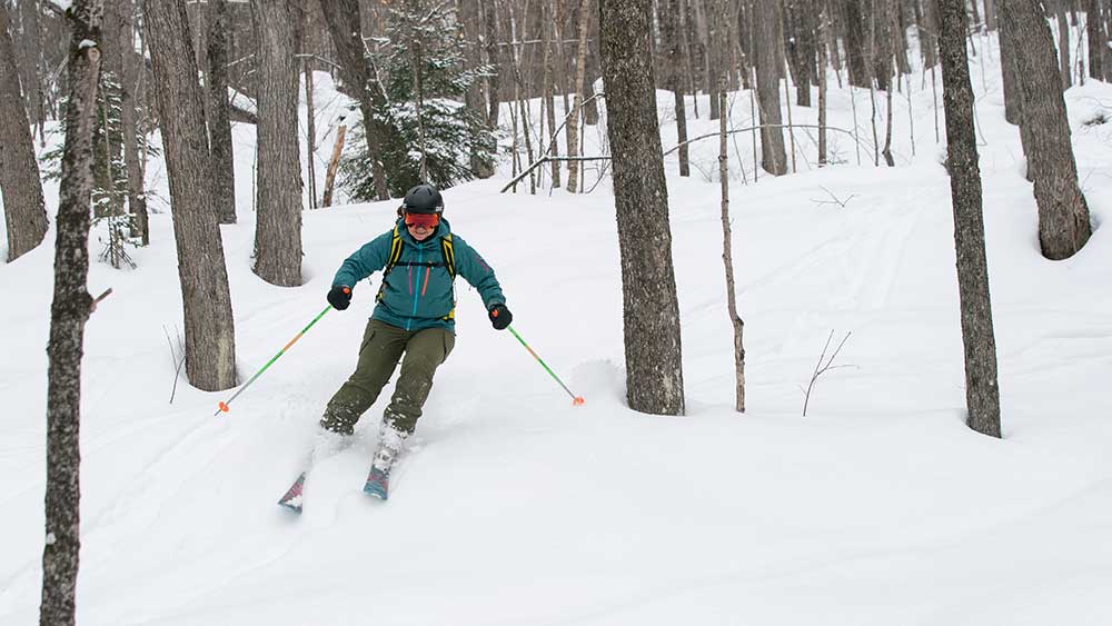 telemark backcountry skiing