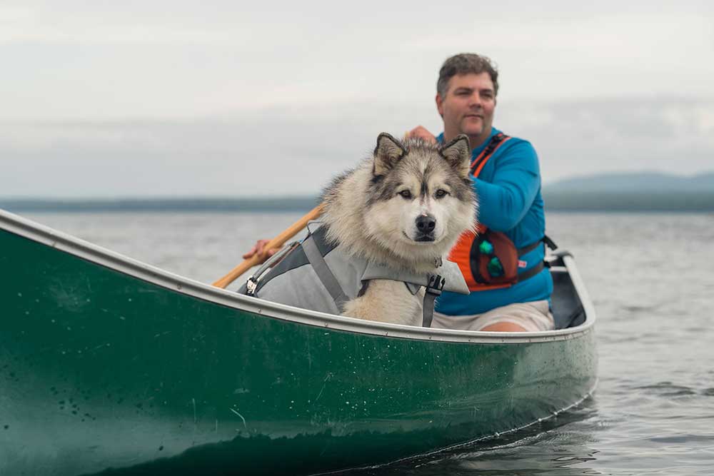 canoeing lake superior forest the canoe