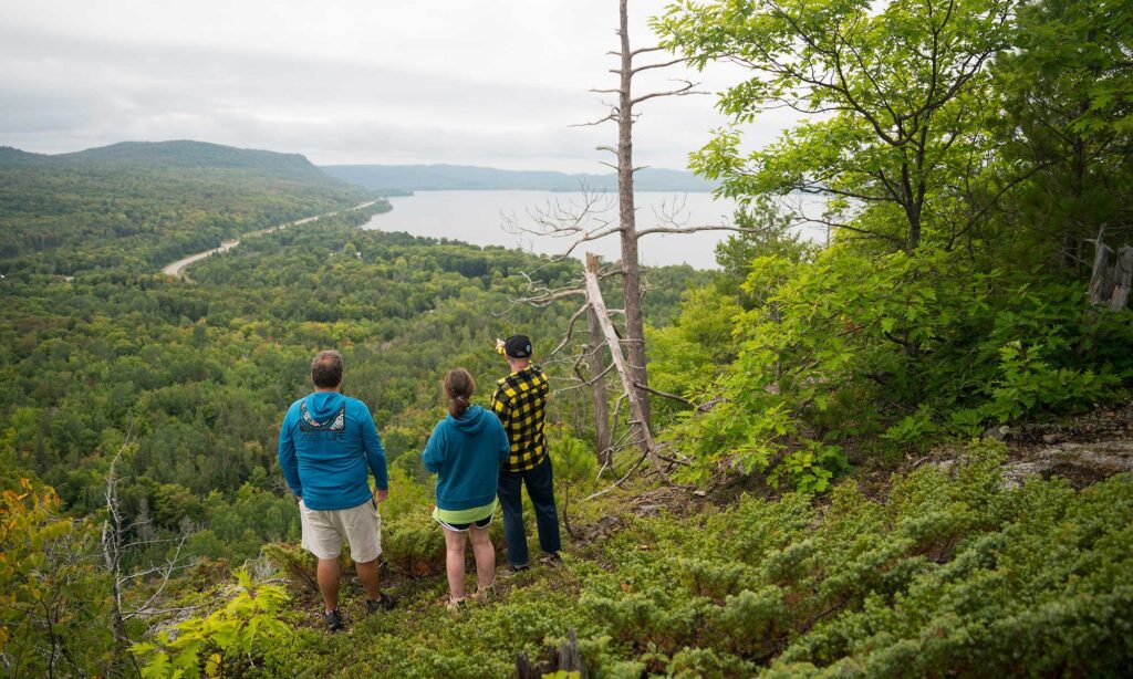 cfield-havilland-harmony