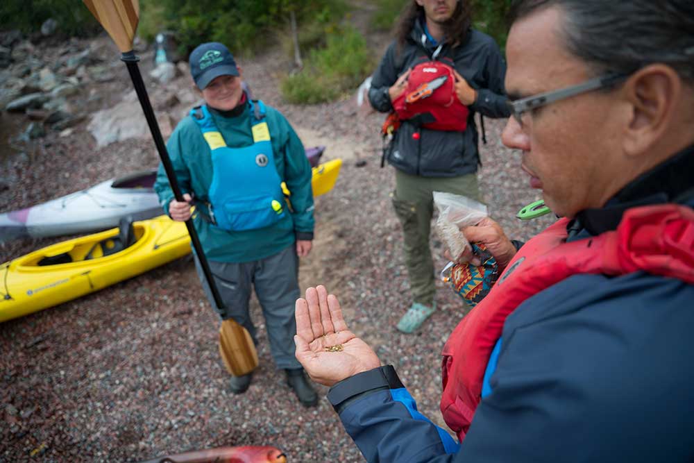 thrive tours offering