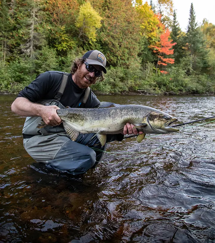 fish-species-salmon-img