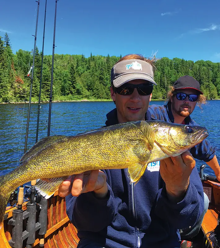 fish-species-walleye-img2