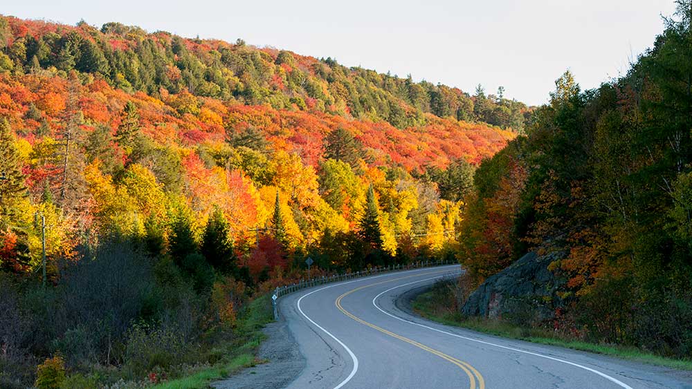 fall colours hwy 556 searchmont