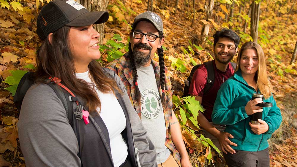 walk among the trees guide services