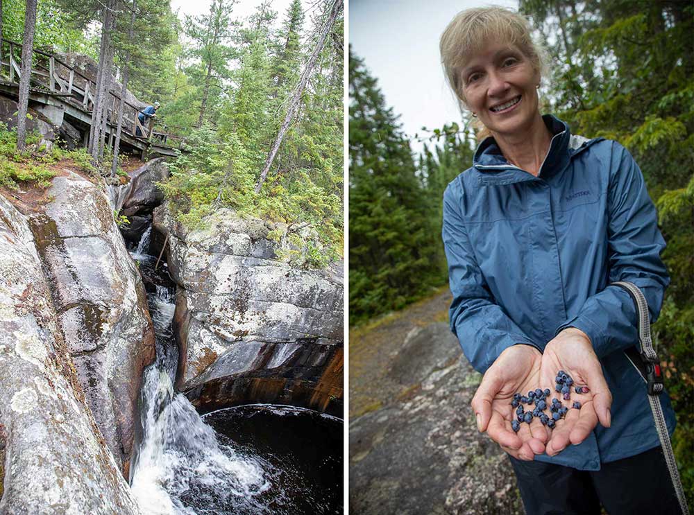 potholes provincial park and picking wild blueberries