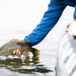 smallmouthbass-Algoma-BirchlandCottages