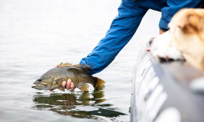 A Guide to Fishing Algoma Country