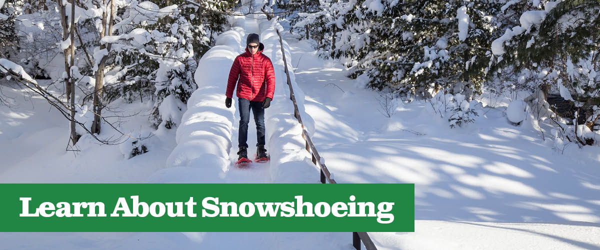snowshoeing-cta