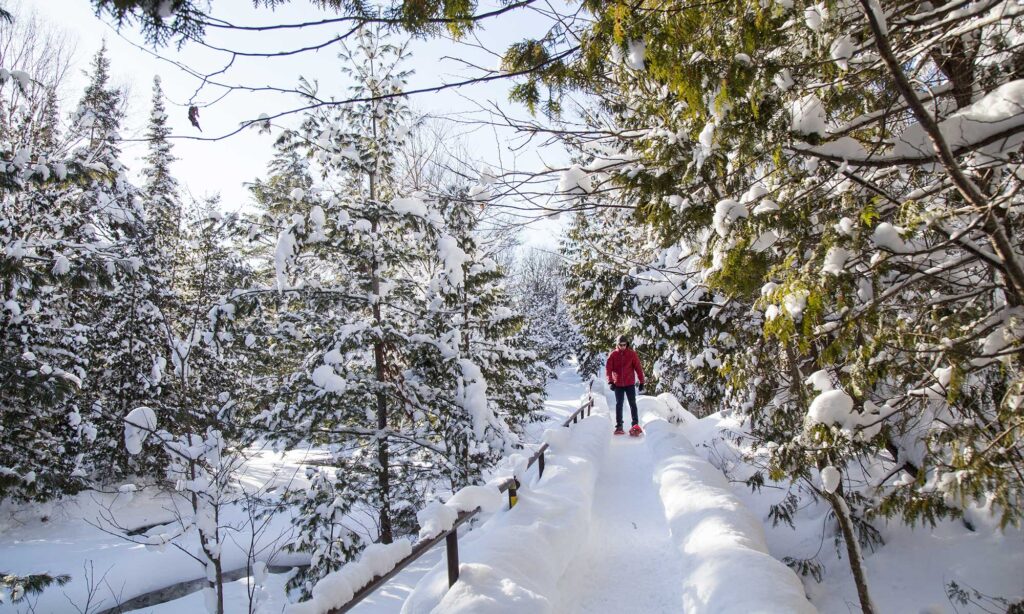 snowshoeing-hiawathahighlands