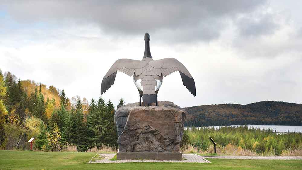 wawa goose monument