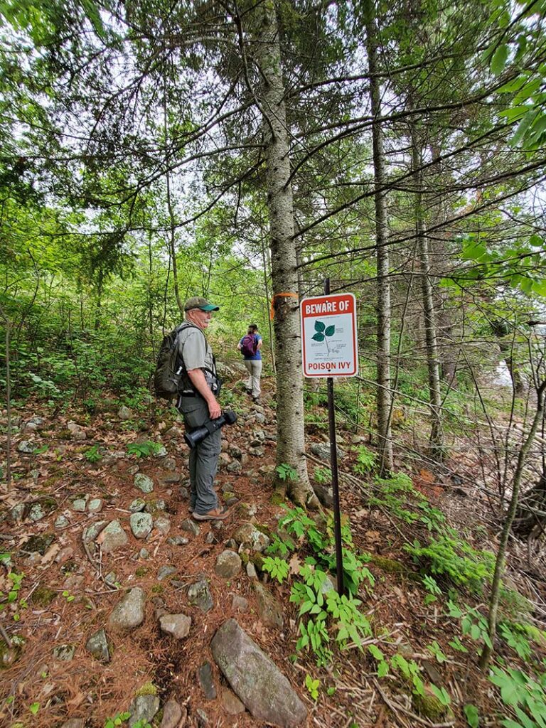 hiking beware of poison ivy