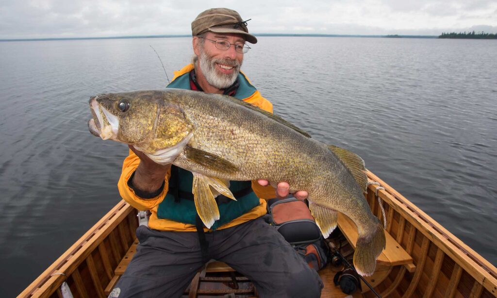 angler fishing ontario walleye