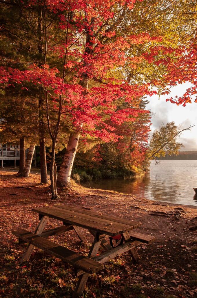 fall colours lakeside