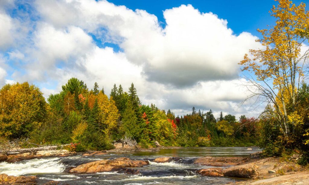 Algoma_Stimpson_LittleWhiteRiver_9856