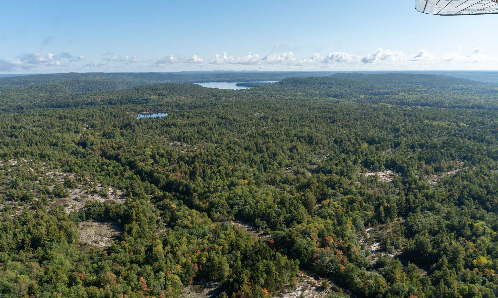 aerial view from a bushplane