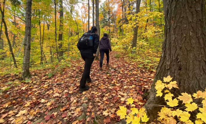 The Rock Candy Mountain Trail