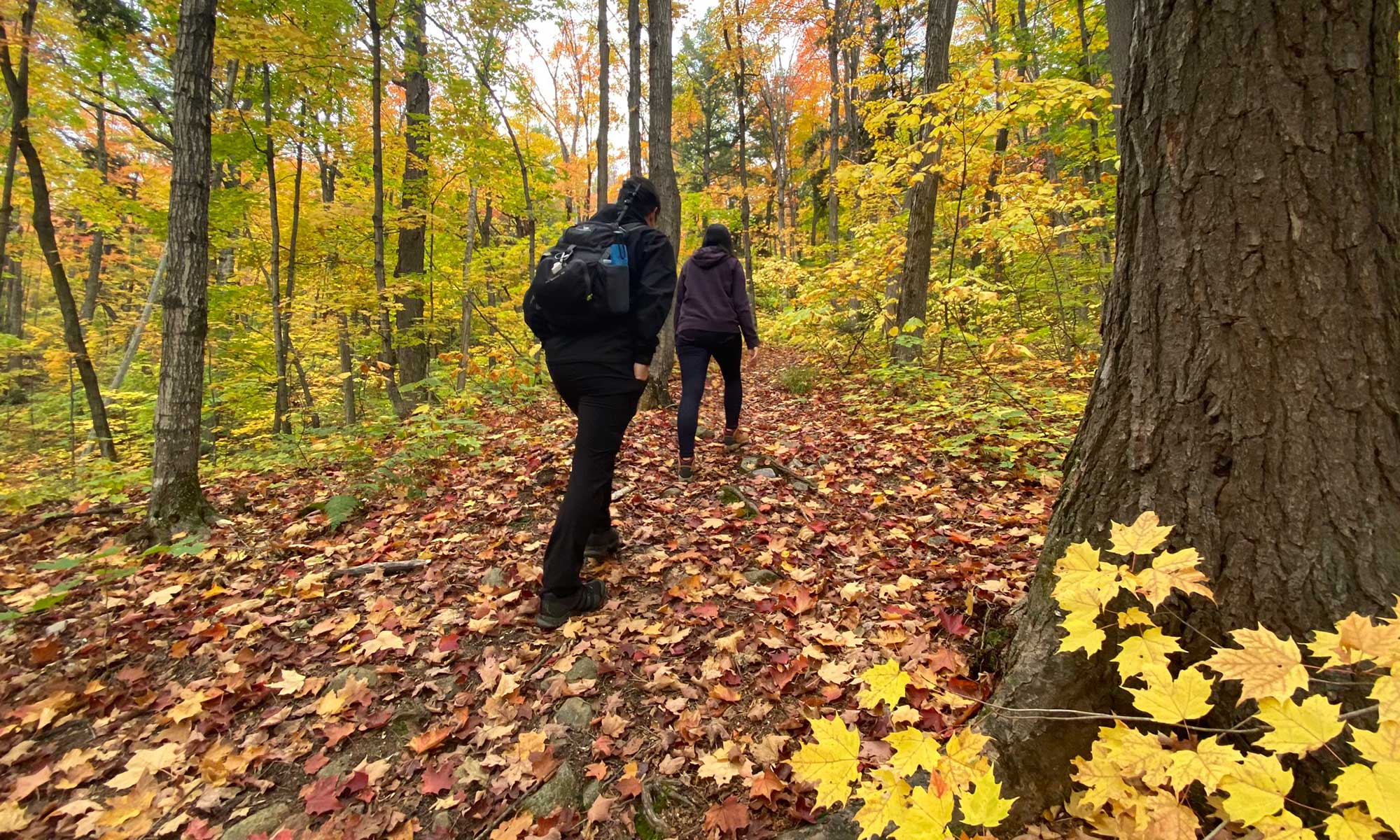 RockCandyMountain012