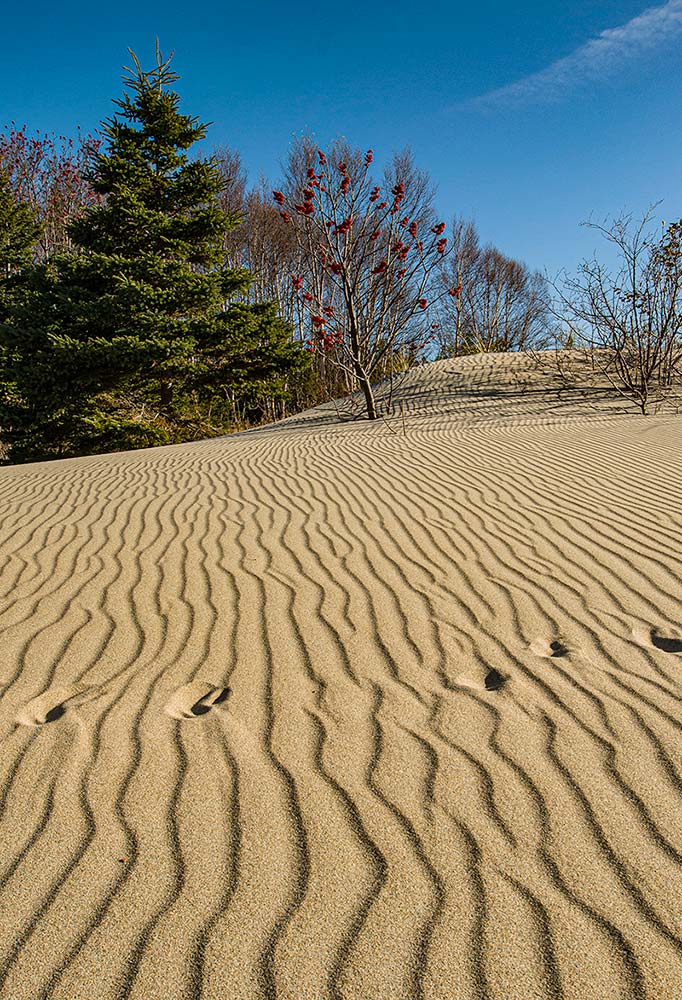 ripples in the sand algoma