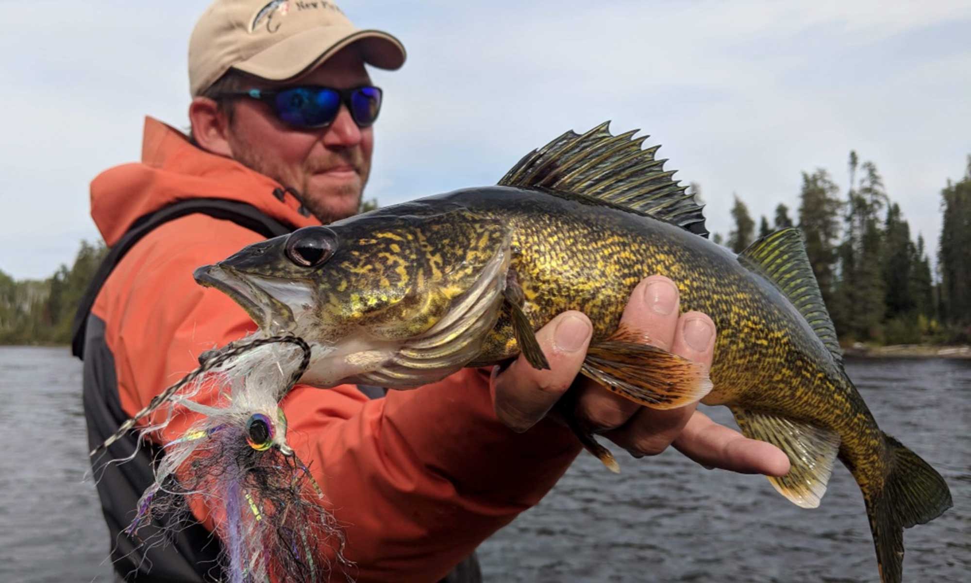 TNFF-algoma-walleye-fly
