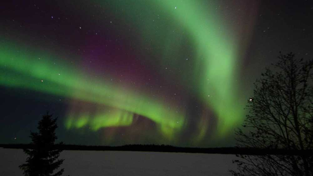 northern lights brace lake outfitters