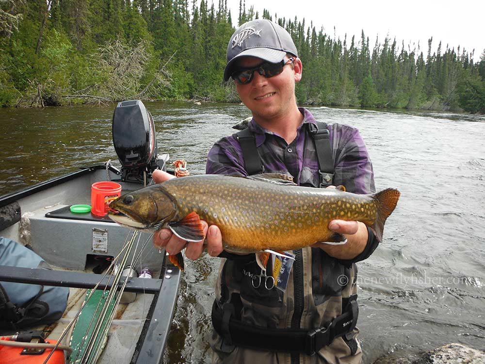 angler holding ontario brook trout