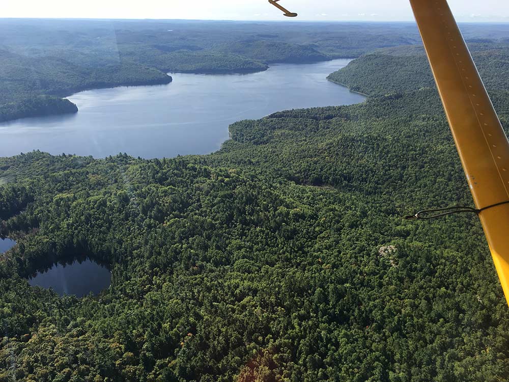 aerial view of landscape from a bushplane