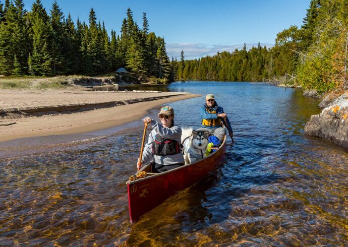 forest-the-canoe-main