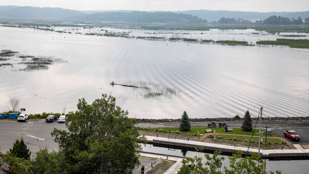 shoreline discovery trail view