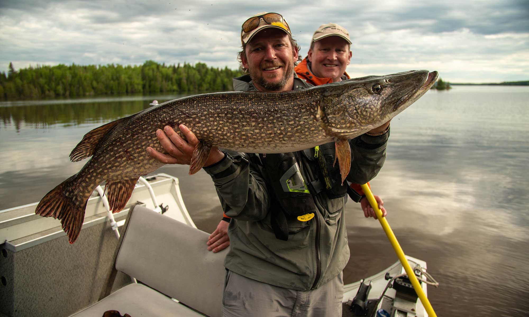 northernpike-tnff