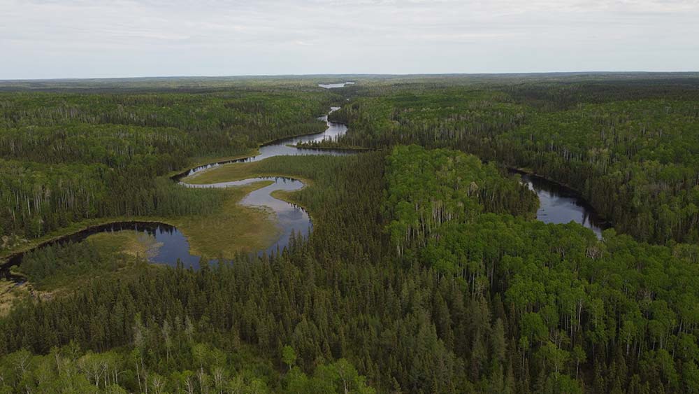 aerial landscape from a bushplane