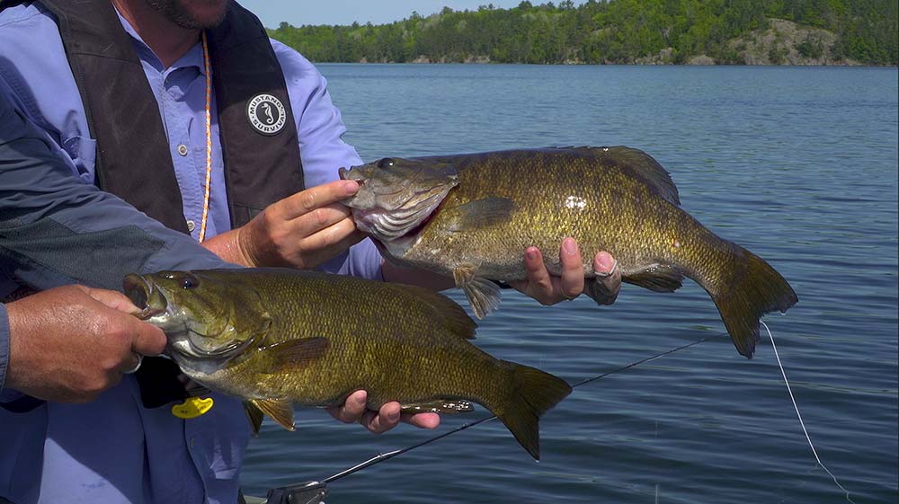 ontario smallmouth bass fishing fly patterns