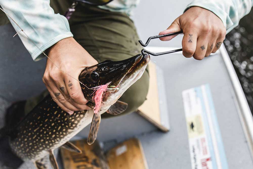 fly fishing northern pike jaw spreaders