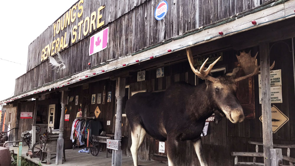 exterior young's general store