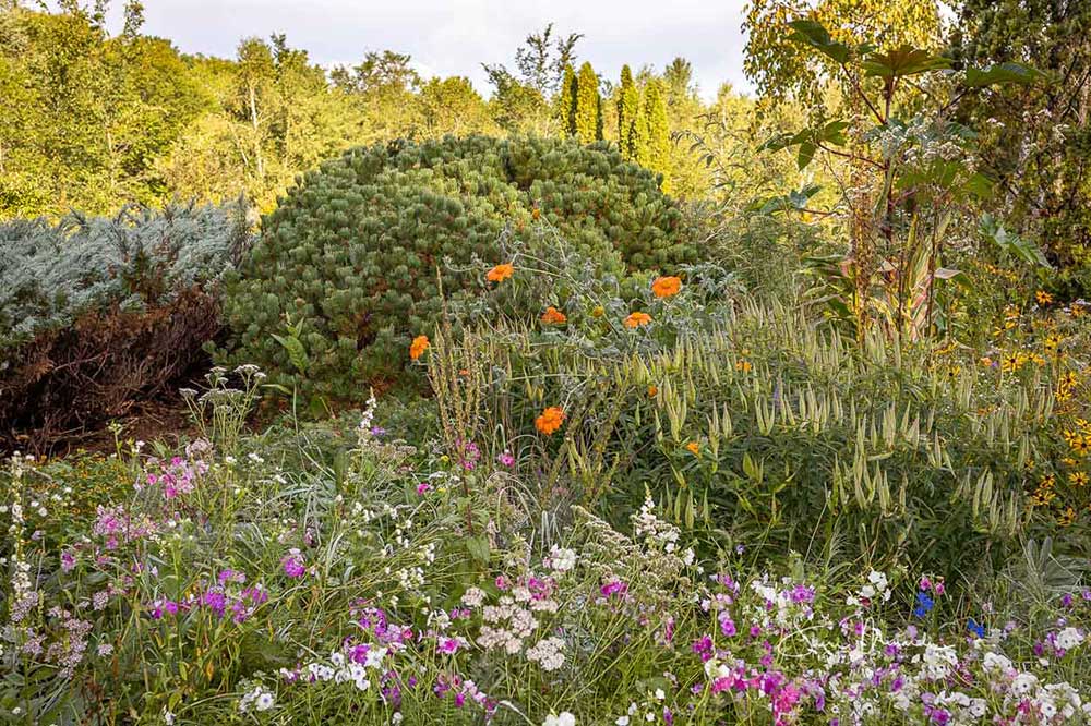 outdoor flower garden