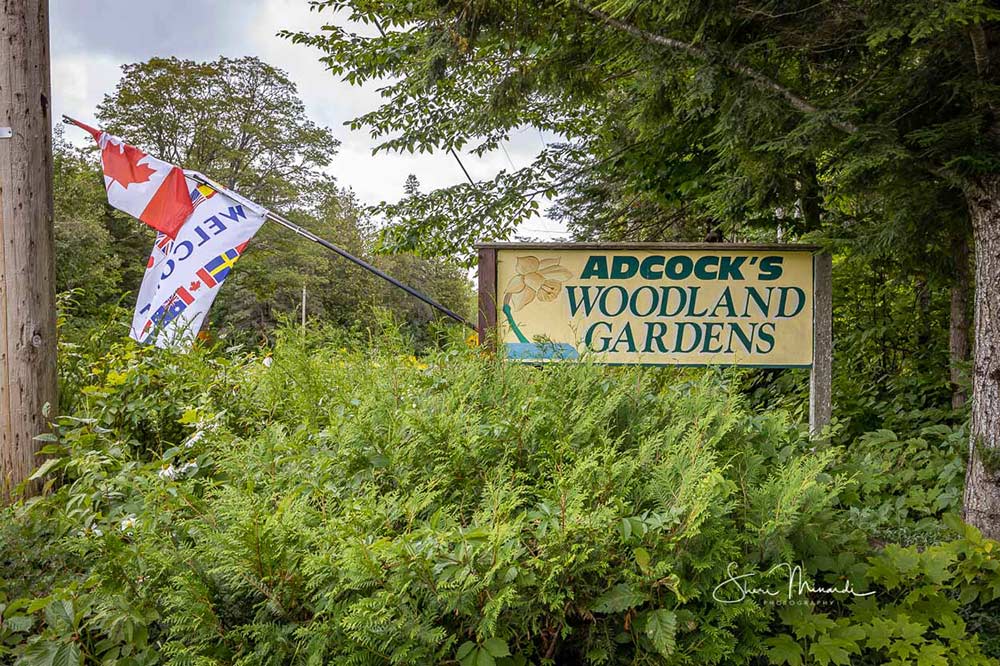 adcock's woodland garden sign