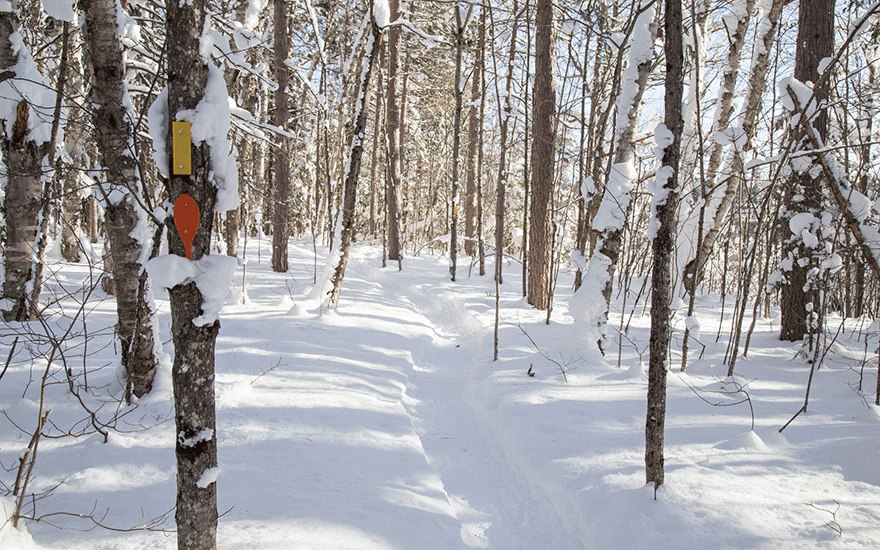 hiawatha highlands snowshoe trail
