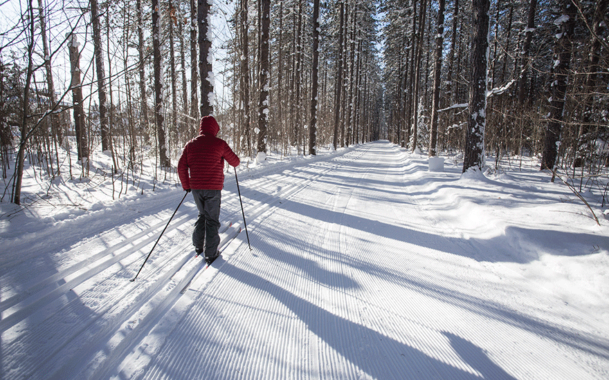 cross country skiing