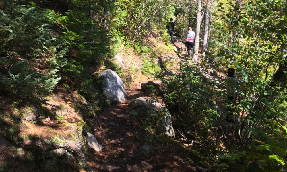 hikers on a trail