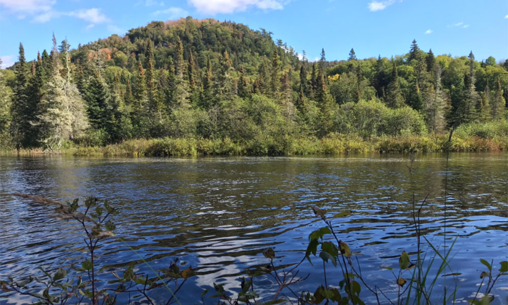 sand river with mountain in background
