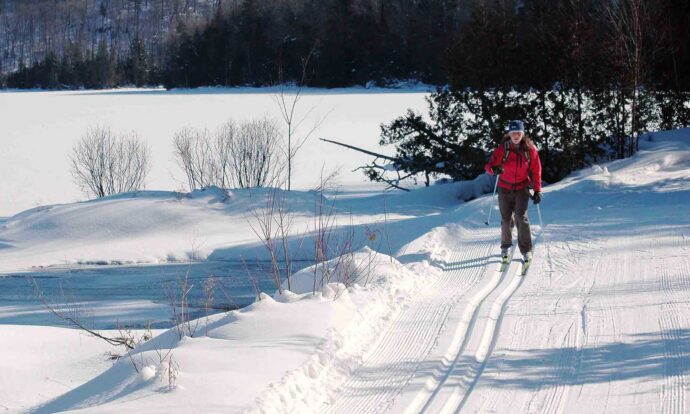 The Stokely Experience