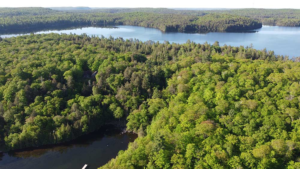 aerial view of algoma landscape with lakes